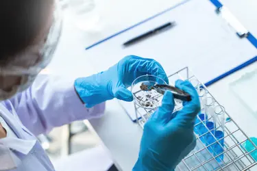 chemical_forensic_toxicology_billing