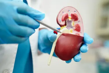 laparoscopy_reconstructive_pediatric_urology_billing